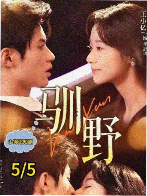 噼里啪啦完整版高清电影 口径登记表示例